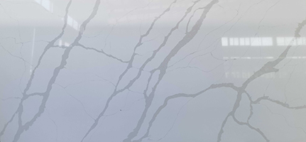NTP605-ash
