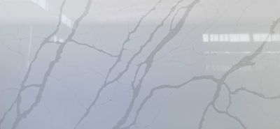 NTP605-ash